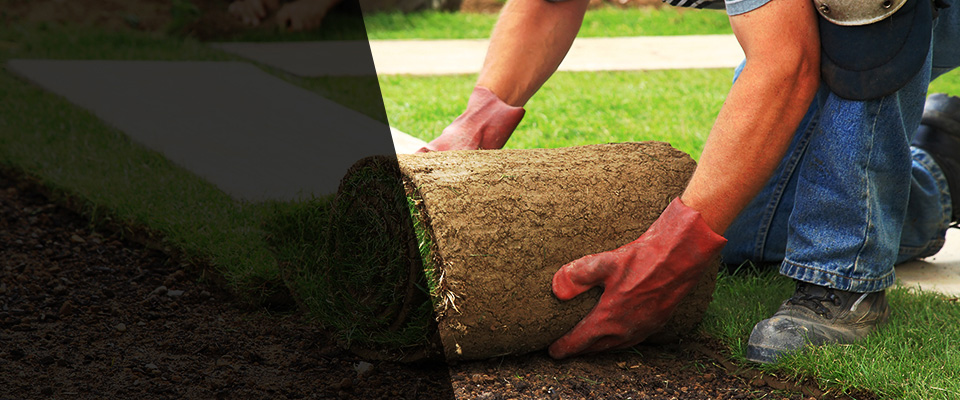 Alpharetta Landscapers